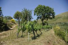 19667525_1660124737373372_5999154366166740422_o