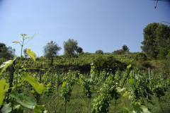 19667715_1660124844040028_5914302993790031093_o