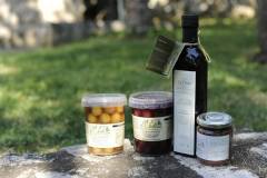 19667894_1660125497373296_4246701733363870504_o