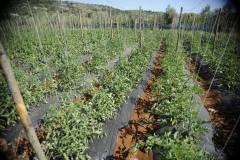 19667940_1660125057373340_5025715490164807601_o