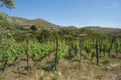 19678999_1660124700706709_8347146619236010632_o