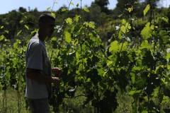 19679085_1660124860706693_8106606452535254441_o