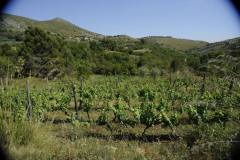 19679211_1660124707373375_6665344553575058660_o