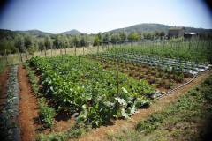 19693392_1660125127373333_5111012110783741549_o