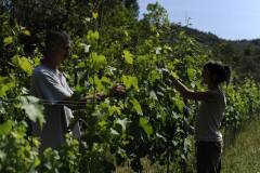 19693751_1660124954040017_8764562181671694335_o