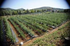 19702815_1660125090706670_2668694823465170852_o