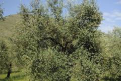 19780419_1660125390706640_5263071062106958796_o