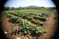 19780424_1660125004040012_1878079890215876366_o