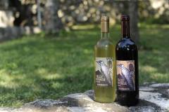 19780585_1660125360706643_5777067814416680525_o