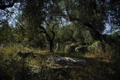 19787153_1660125294039983_3855134823996073589_o