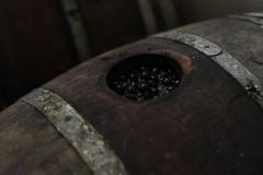 19787532_1660125157373330_4711073357773933706_o