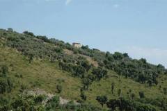 20374440_1686788671373645_7642500661480078573_n